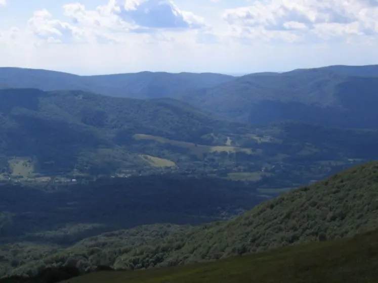 Bieszczady 2007 – Ustrzyki G. – Połonina Caryńska – Połonina Wetlińska – 30 07 2007, zdjęcie 112