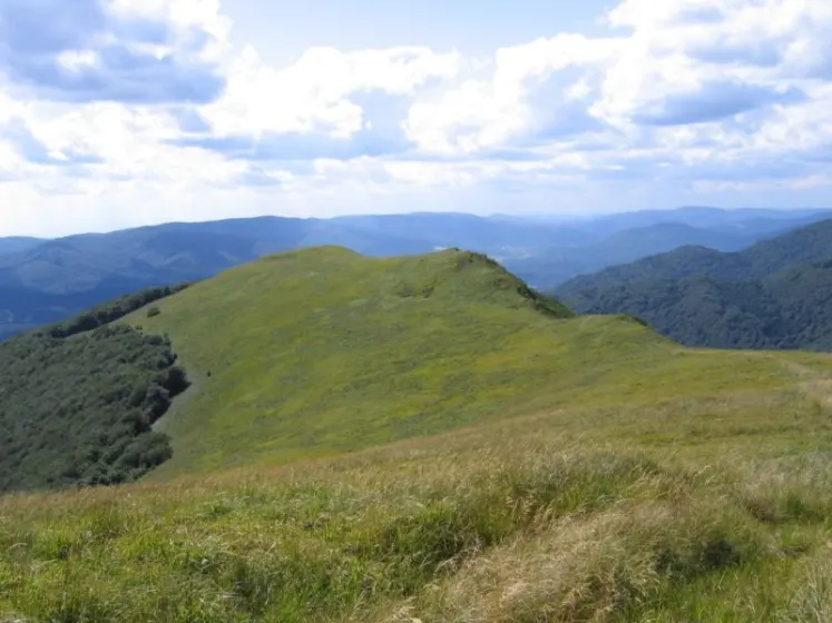 Bieszczady 2007 – Ustrzyki G. – Połonina Caryńska – Połonina Wetlińska – 30 07 2007, zdjęcie 113