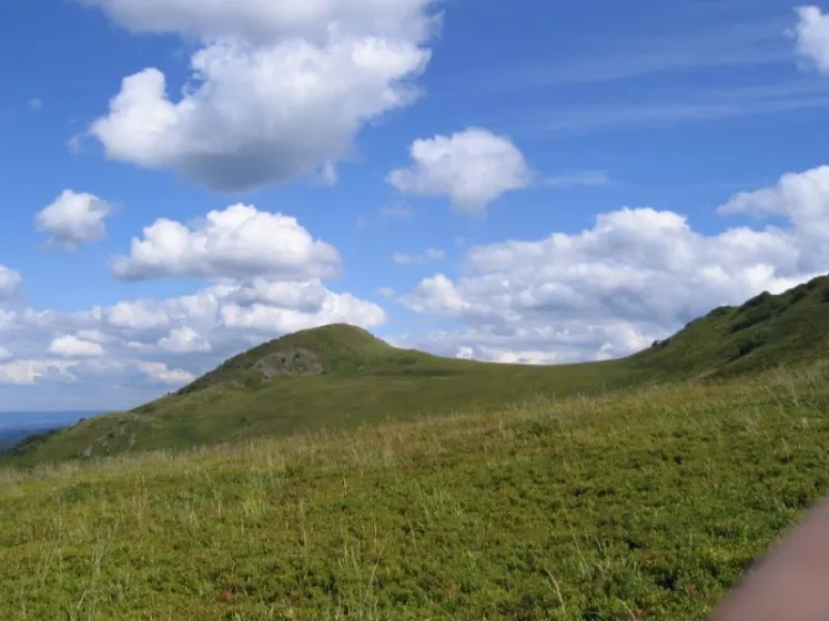 Bieszczady 2007 – Ustrzyki G. – Połonina Caryńska – Połonina Wetlińska – 30 07 2007, zdjęcie 114