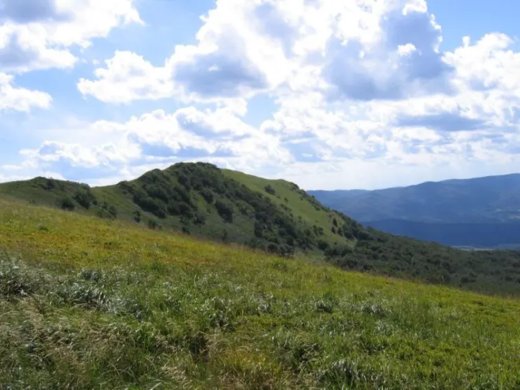 Bieszczady 2007 – Ustrzyki G. – Połonina Caryńska – Połonina Wetlińska – 30 07 2007, zdjęcie 115