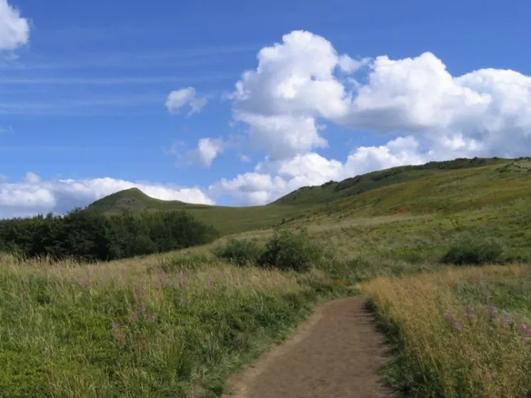Bieszczady 2007 – Ustrzyki G. – Połonina Caryńska – Połonina Wetlińska – 30 07 2007, zdjęcie 116