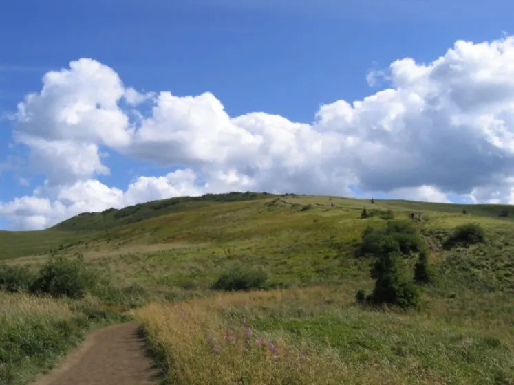 Bieszczady 2007 – Ustrzyki G. – Połonina Caryńska – Połonina Wetlińska – 30 07 2007, zdjęcie 117
