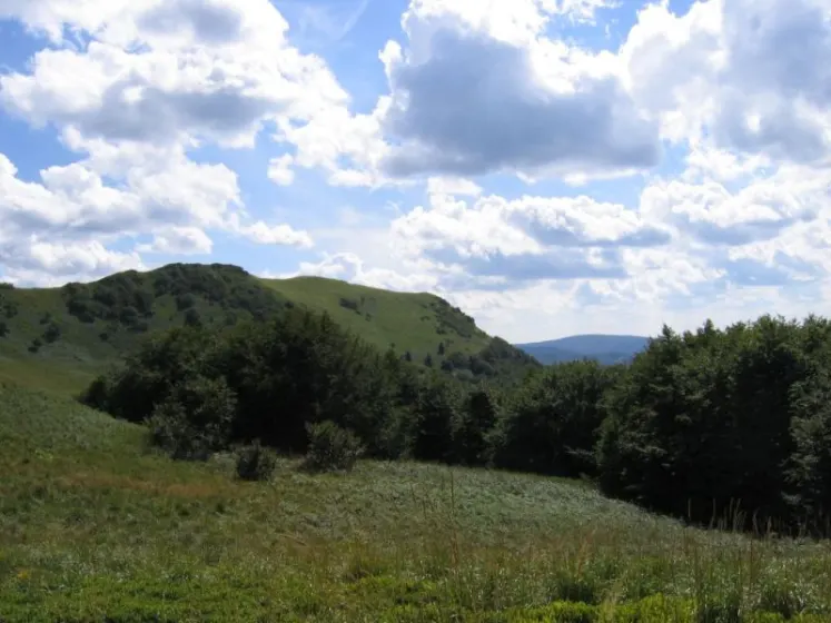 Bieszczady 2007 – Ustrzyki G. – Połonina Caryńska – Połonina Wetlińska – 30 07 2007, zdjęcie 118