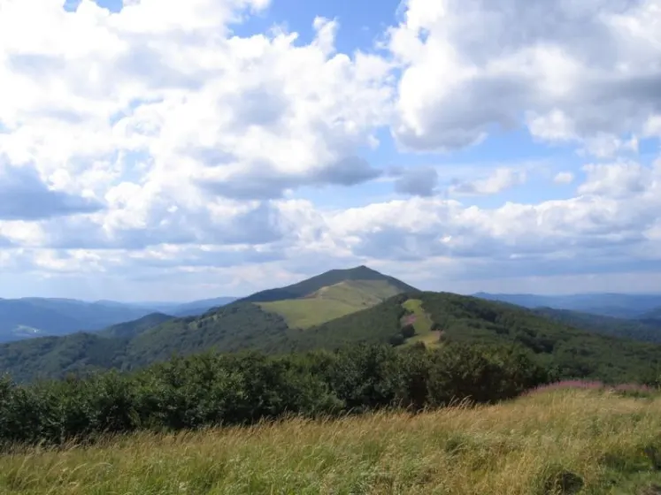 Bieszczady 2007 – Ustrzyki G. – Połonina Caryńska – Połonina Wetlińska – 30 07 2007, zdjęcie 119