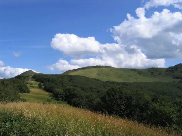Bieszczady 2007 – Ustrzyki G. – Połonina Caryńska – Połonina Wetlińska – 30 07 2007, zdjęcie 120