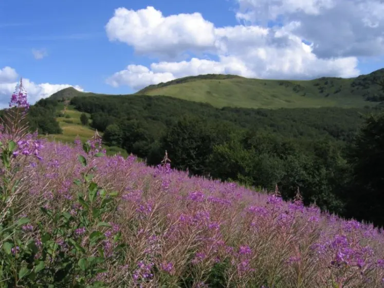 Bieszczady 2007 – Ustrzyki G. – Połonina Caryńska – Połonina Wetlińska – 30 07 2007, zdjęcie 122