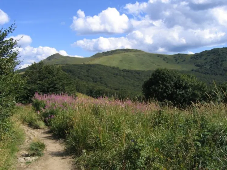 Bieszczady 2007 – Ustrzyki G. – Połonina Caryńska – Połonina Wetlińska – 30 07 2007, zdjęcie 123