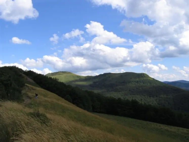 Bieszczady 2007 – Ustrzyki G. – Połonina Caryńska – Połonina Wetlińska – 30 07 2007, zdjęcie 125