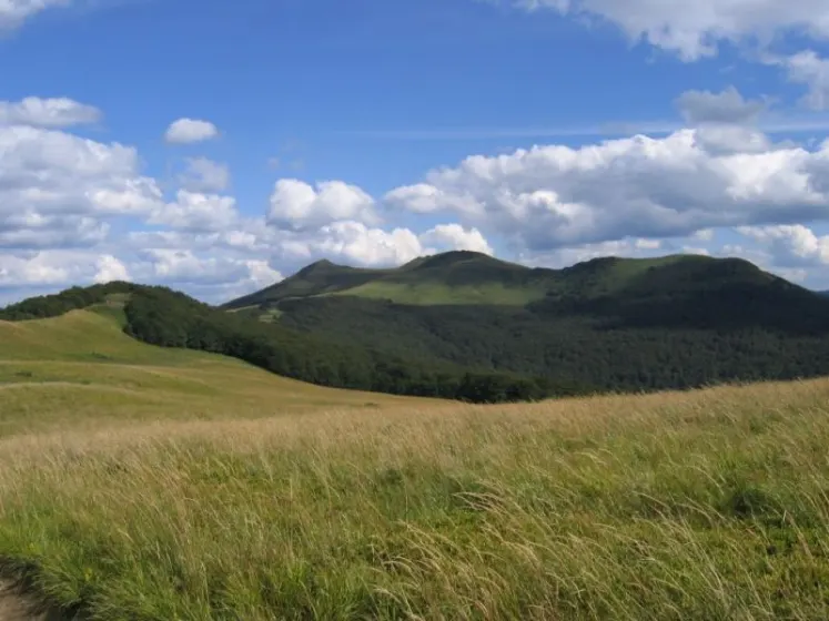 Bieszczady 2007 – Ustrzyki G. – Połonina Caryńska – Połonina Wetlińska – 30 07 2007, zdjęcie 128