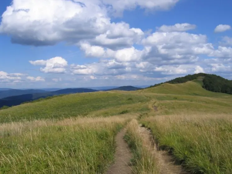 Bieszczady 2007 – Ustrzyki G. – Połonina Caryńska – Połonina Wetlińska – 30 07 2007, zdjęcie 129