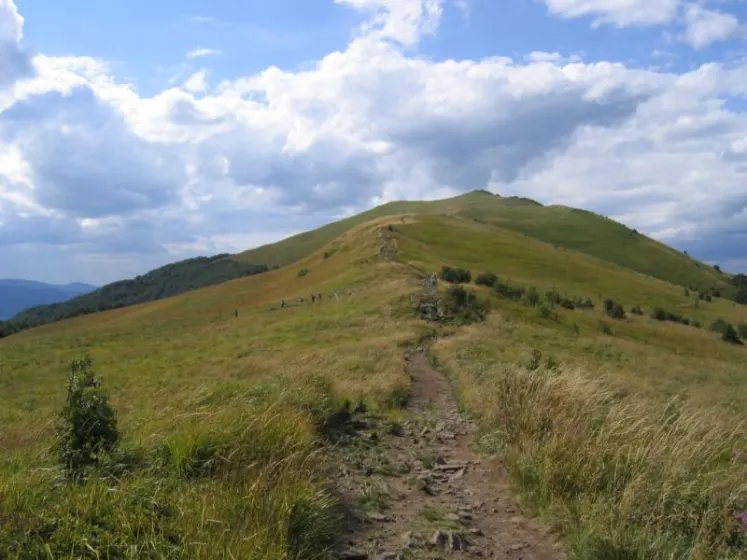 Bieszczady 2007 – Ustrzyki G. – Połonina Caryńska – Połonina Wetlińska – 30 07 2007, zdjęcie 130