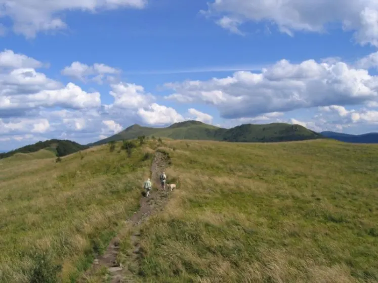 Bieszczady 2007 – Ustrzyki G. – Połonina Caryńska – Połonina Wetlińska – 30 07 2007, zdjęcie 131