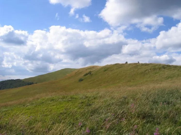 Bieszczady 2007 – Ustrzyki G. – Połonina Caryńska – Połonina Wetlińska – 30 07 2007, zdjęcie 134