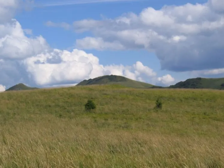 Bieszczady 2007 – Ustrzyki G. – Połonina Caryńska – Połonina Wetlińska – 30 07 2007, zdjęcie 136