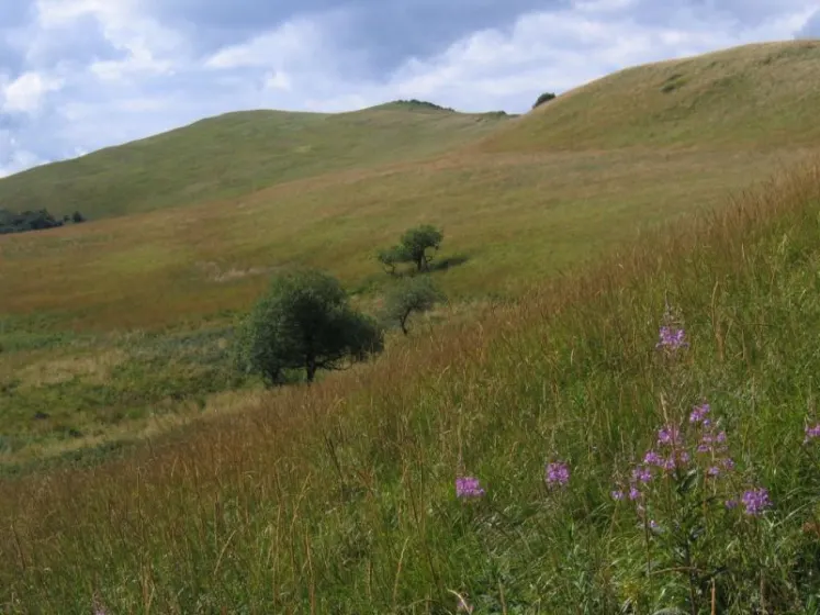 Bieszczady 2007 – Ustrzyki G. – Połonina Caryńska – Połonina Wetlińska – 30 07 2007, zdjęcie 137
