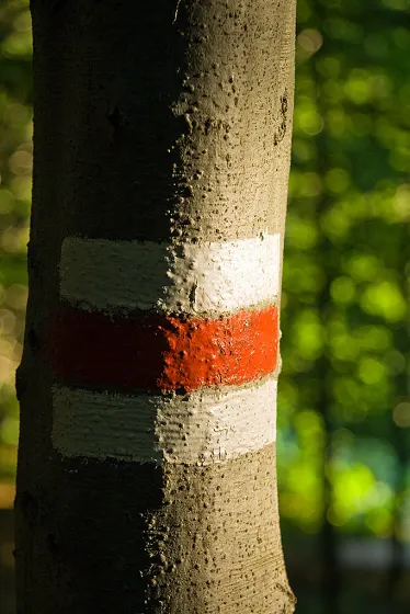 Bieszczady 2008, zdjęcie 10
