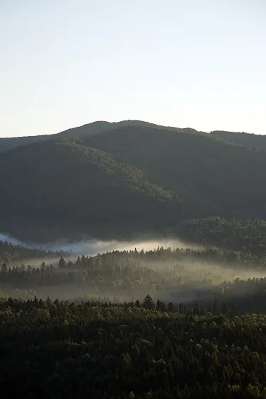 Bieszczady 2008, zdjęcie 11