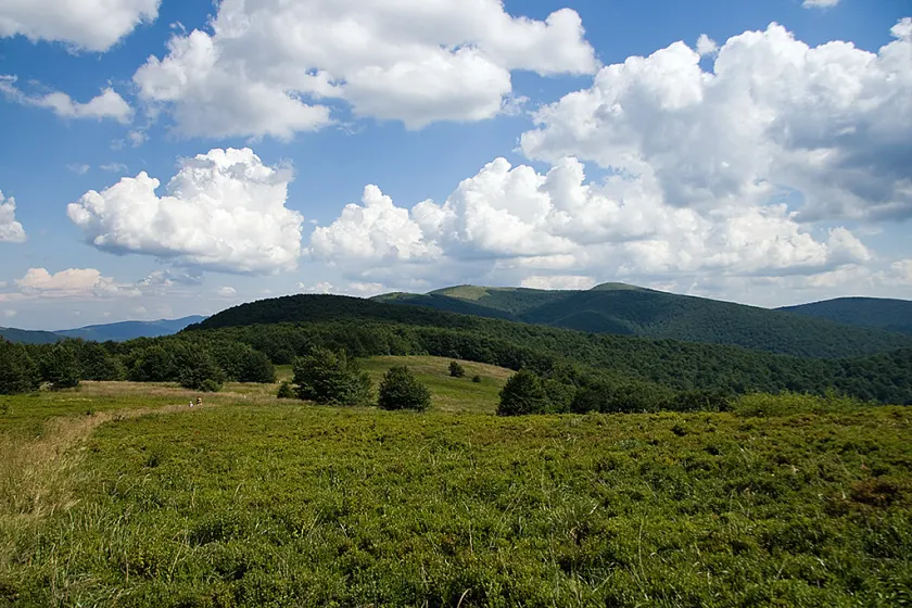 Bieszczady 2008, zdjęcie 28