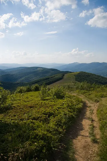 Bieszczady 2008, zdjęcie 38