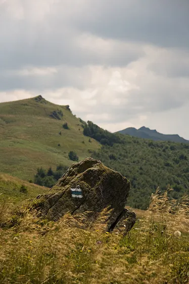 Bieszczady 2008, zdjęcie 41