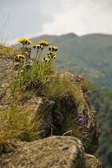 Bieszczady 2008, zdjęcie 43