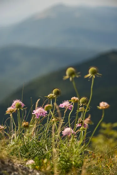 Bieszczady 2008, zdjęcie 51