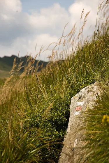 Bieszczady 2008, zdjęcie 62