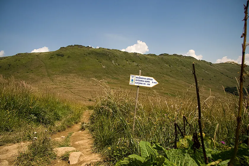 Bieszczady 2008, zdjęcie 64