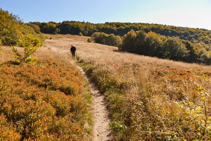 Jesienne Bieszczady – wrzesień 2011, zdjęcie 93