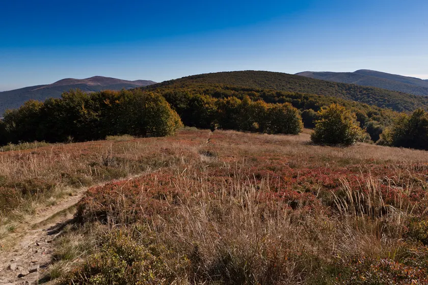 Jesienne Bieszczady – wrzesień 2011, zdjęcie 99