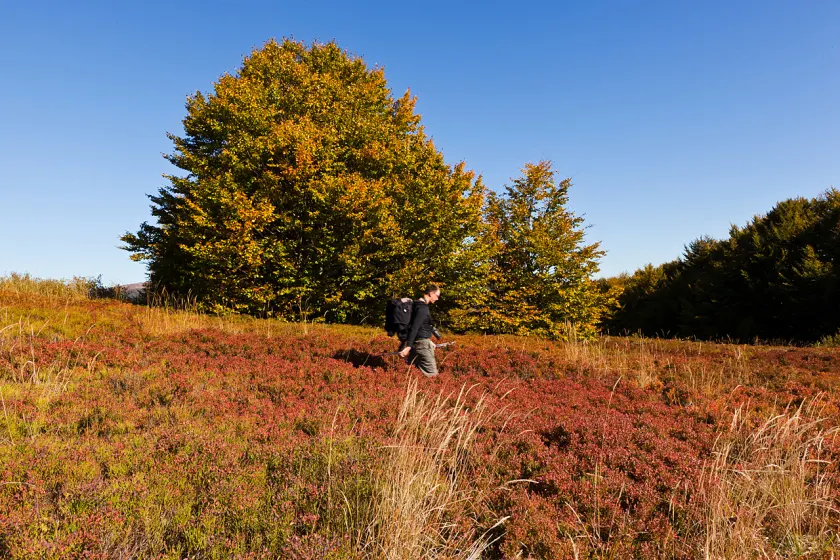 Jesienne Bieszczady – wrzesień 2011, zdjęcie 100
