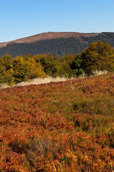 Jesienne Bieszczady – wrzesień 2011, zdjęcie 101