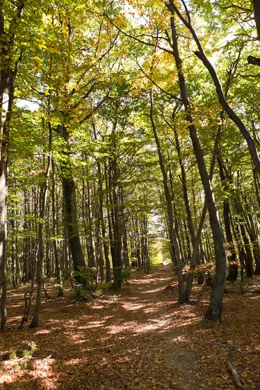 Jesienne Bieszczady – wrzesień 2011, zdjęcie 102