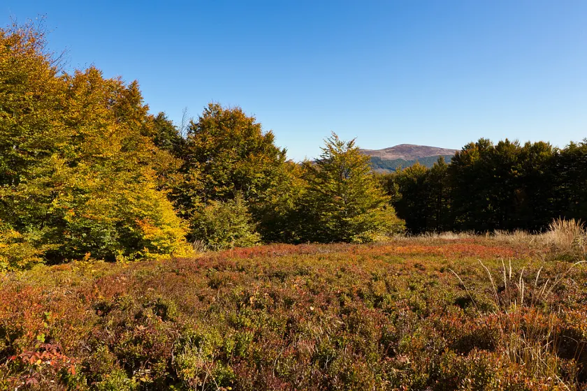 Jesienne Bieszczady – wrzesień 2011, zdjęcie 104