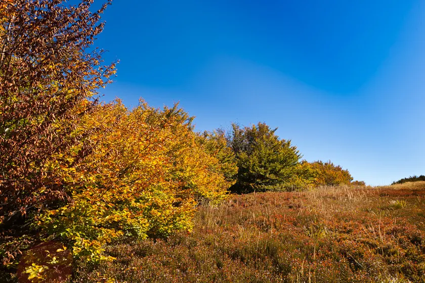 Jesienne Bieszczady – wrzesień 2011, zdjęcie 109