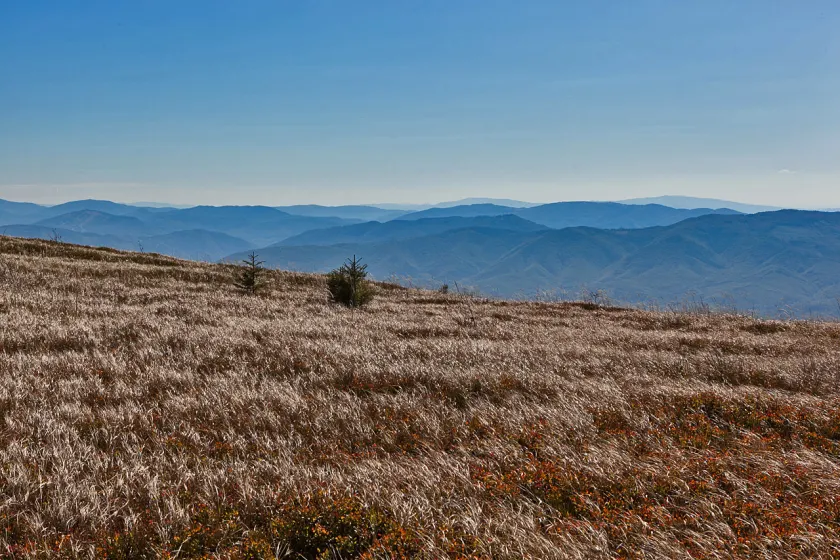 Jesienne Bieszczady – wrzesień 2011, zdjęcie 124