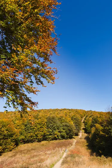 Jesienne Bieszczady – wrzesień 2011, zdjęcie 129