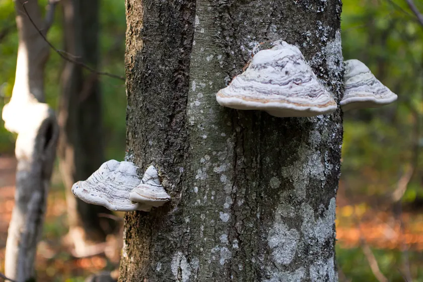 Jesienne Bieszczady – wrzesień 2011, zdjęcie 144