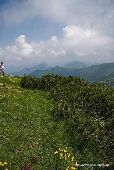 Mała Fatra – 4 VII 2009, zdjęcie 7