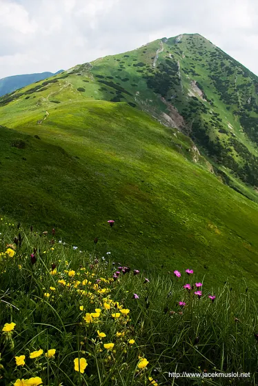 Mała Fatra – 4 VII 2009, zdjęcie 17
