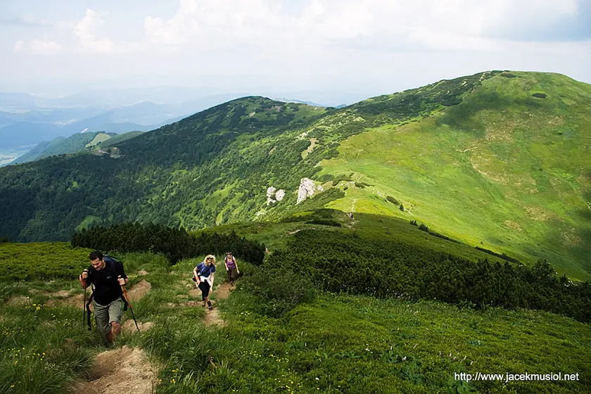 Mała Fatra – 4 VII 2009, zdjęcie 23
