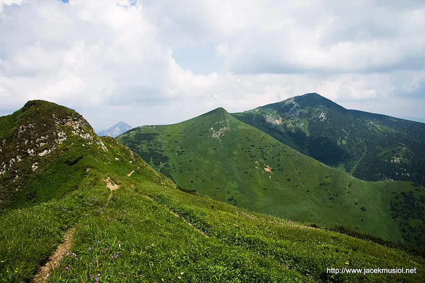 Mała Fatra – 4 VII 2009, zdjęcie 27