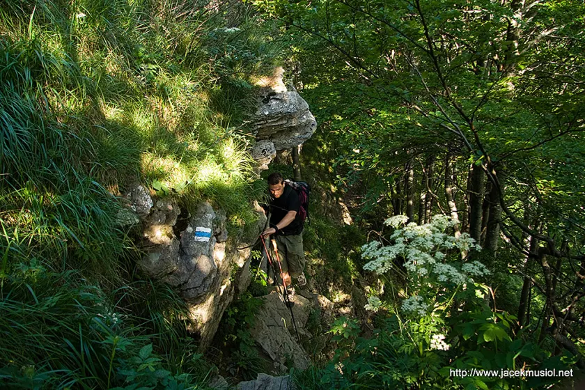 Mała Fatra – 4 VII 2009, zdjęcie 44