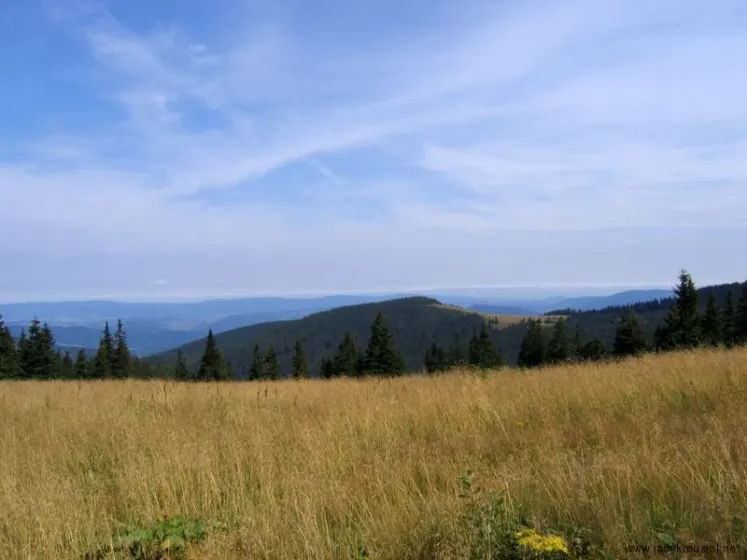 Hala Miziowa – Pilsko – Hala Rysianka, zdjęcie 34