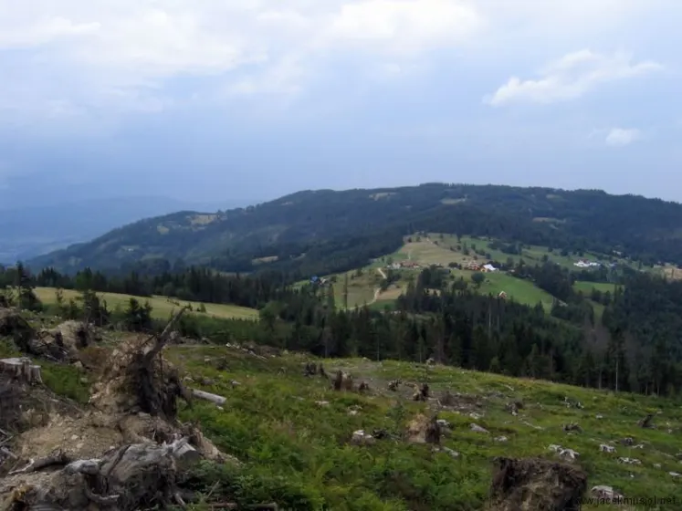 Hala Miziowa – Pilsko – Hala Rysianka, zdjęcie 48