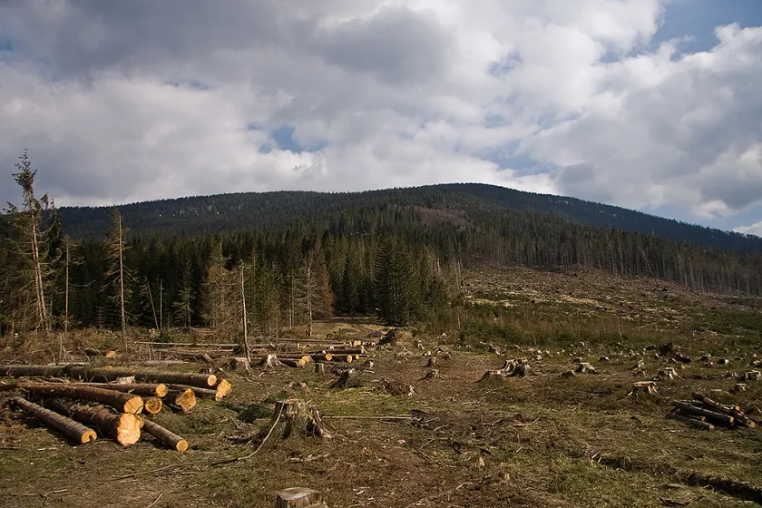 Hala Boracza, Rysianka, Romanka, 13 IV 2008