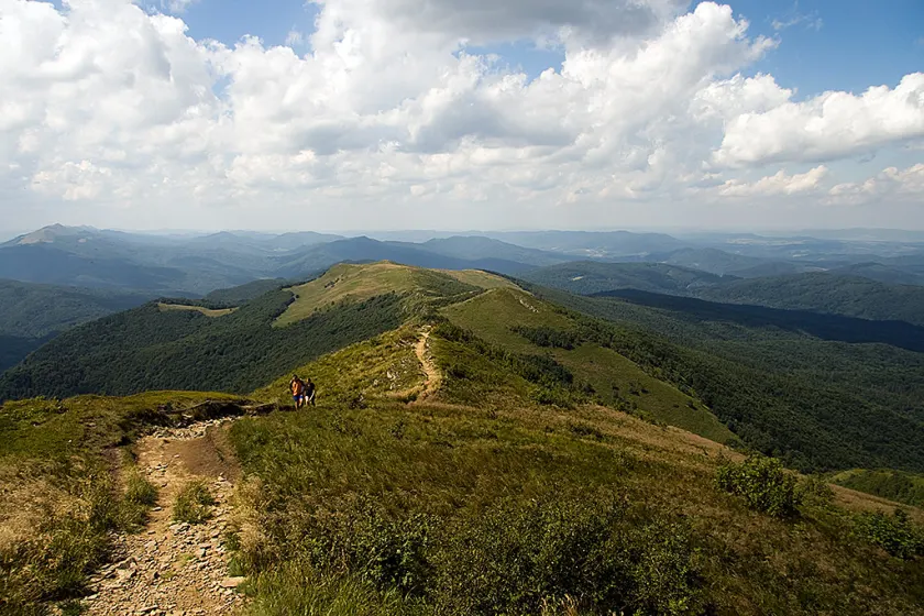 Bieszczady 2008, zdjęcie 49